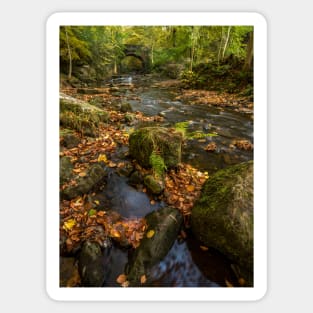 Maybeck Autumn Colours Sticker